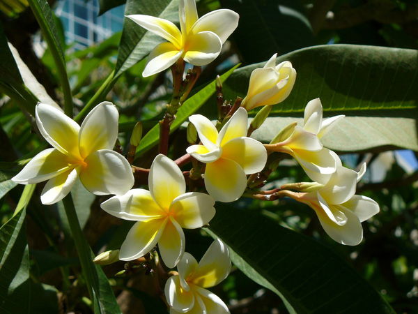 Александр+Анна Мальцевы