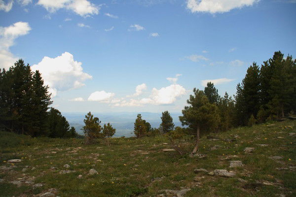 Галия Темербекова