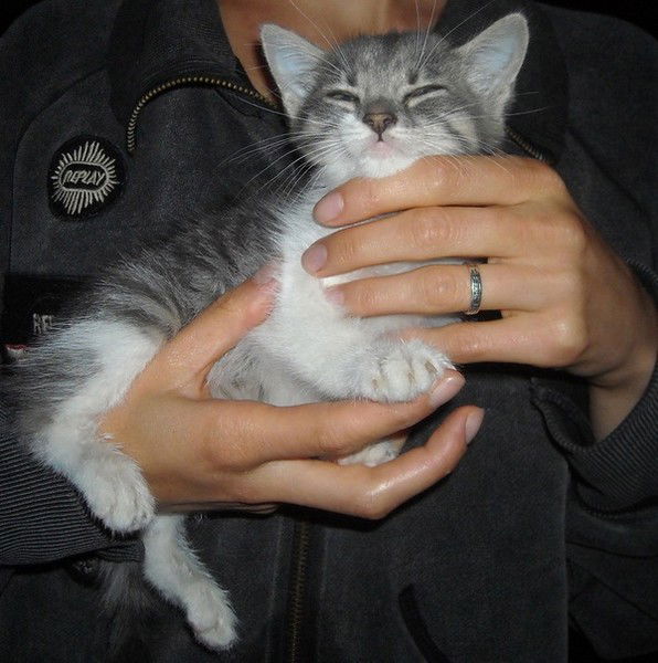 Алина Светлова