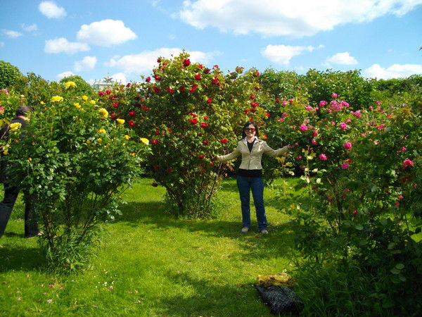 Елена Гиндуллина