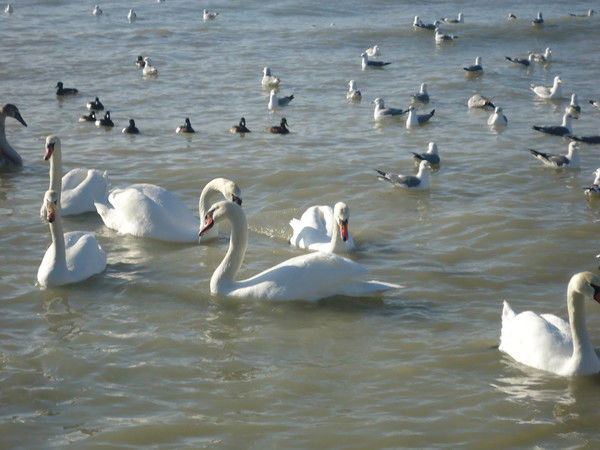 Жадыра Джиенбаева