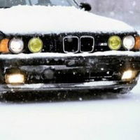 Дмитрий Волостных