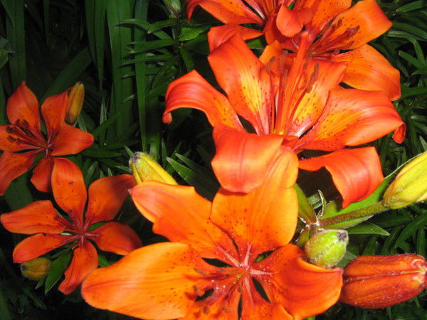 Татьяна Калинина