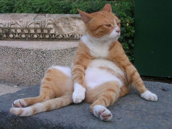 Валентина Низамова