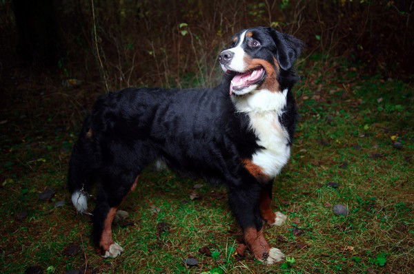 Татьяна Смирнова