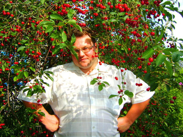 Сергей Алексиков