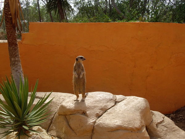 Alexandra Bykovskaya