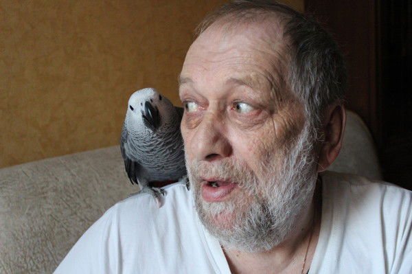 Владислав Кузнецов