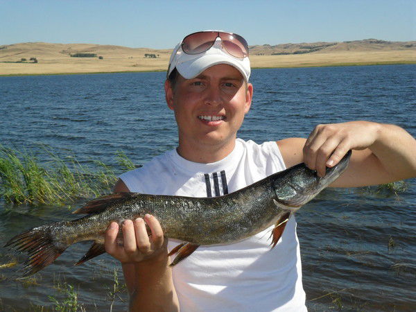 Александр Цишецкий