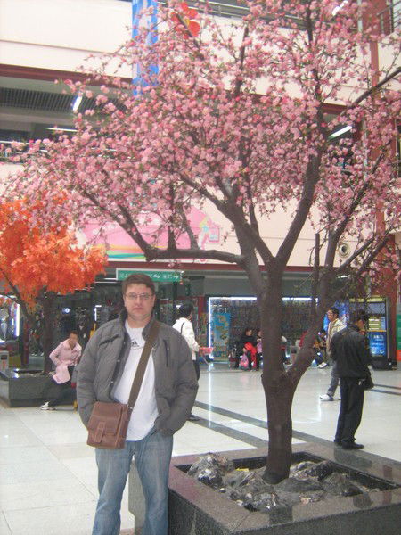 Игорь Сталь