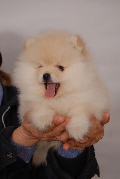 Татьяна Мартынова