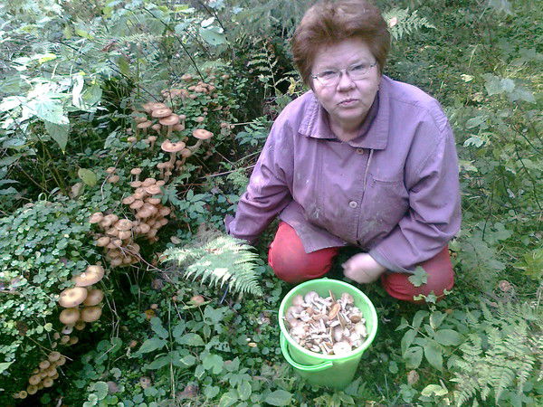 Наталья Ганзий