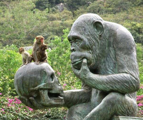 Дмитрий Загидуллин