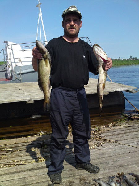 Владимир Павлов