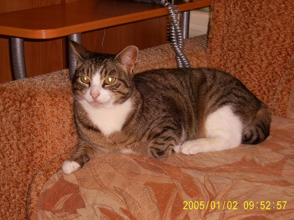 Наталья Шляпникова