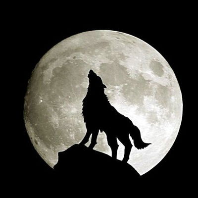 Кирилл Папыльченко