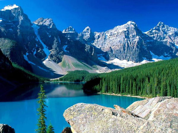 Хасан Центароевский