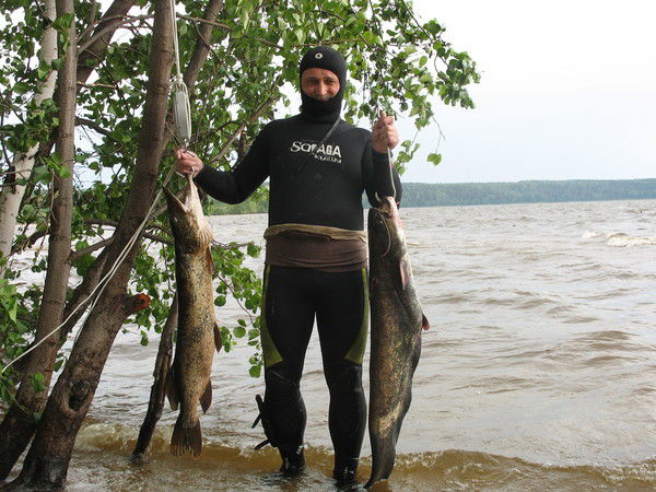 Александр Мищенко