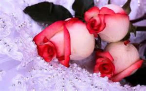 Венера Каримова(Ромашев