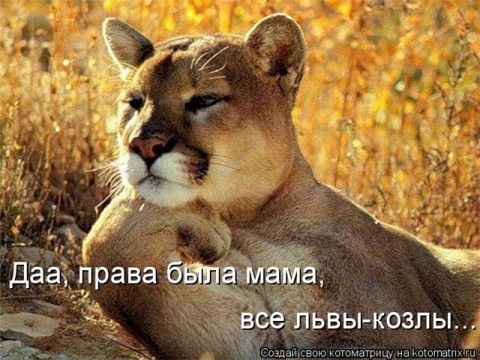 Анастасия Рябинина