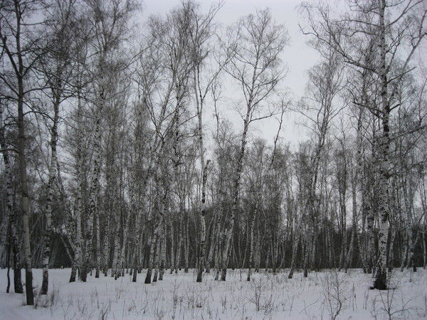 Ирина Иришка