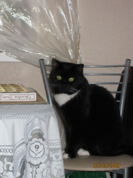 Валентина Чумичева