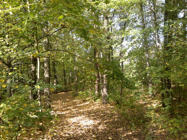 Светлана Бегунова