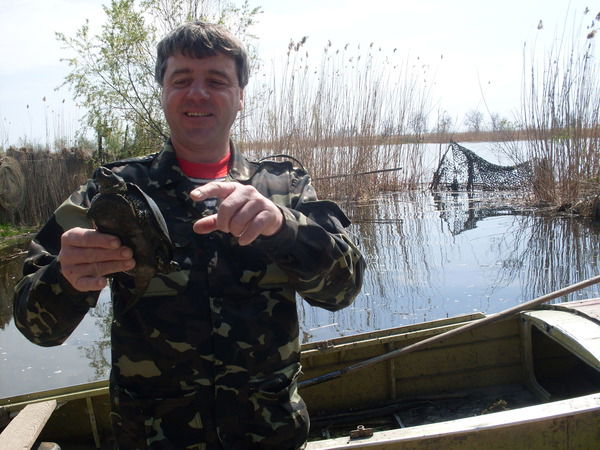 Дмитрий Шавриев