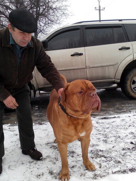 Павел Быценко
