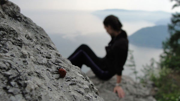 Ксения Чурина