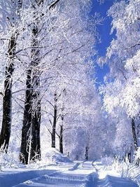 Ксения Александровна