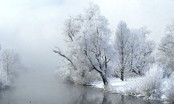 Ирина Рикунова