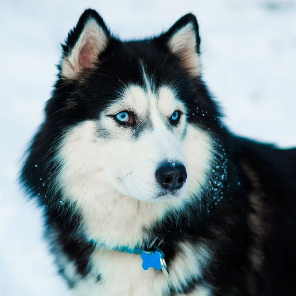 Екатерина Лысенко