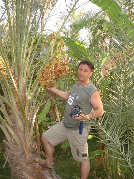 Дмитрий Гаманюк