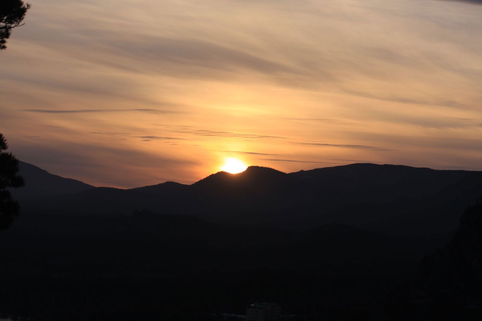 Анна Теслюк