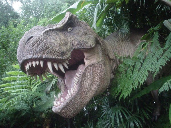 Арсен Богенебаев