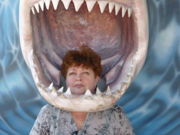 Ирина Шевцова