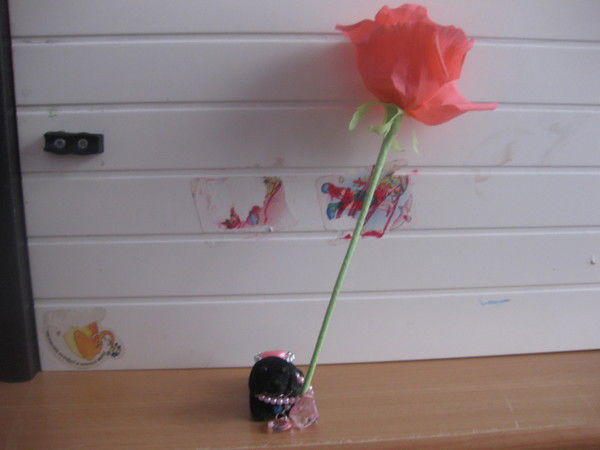 Юрий Шалдиров