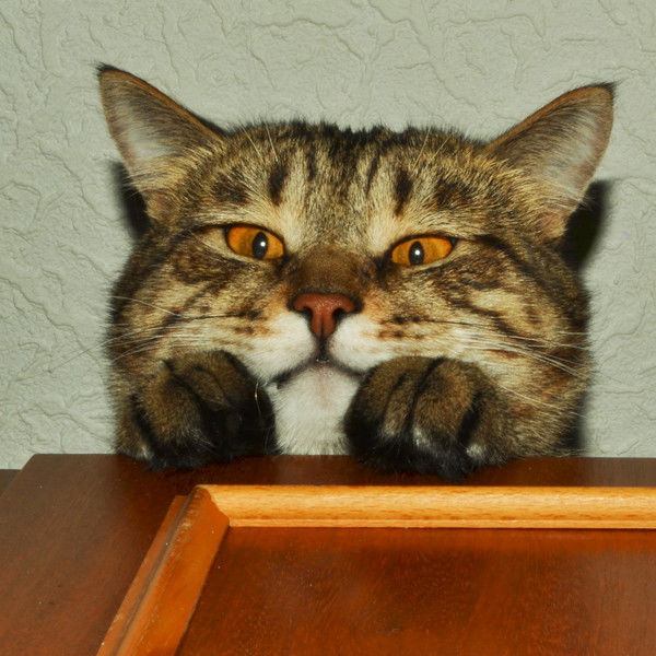 Наталья Уткина