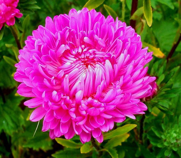 Ххххххх Хххххххххх