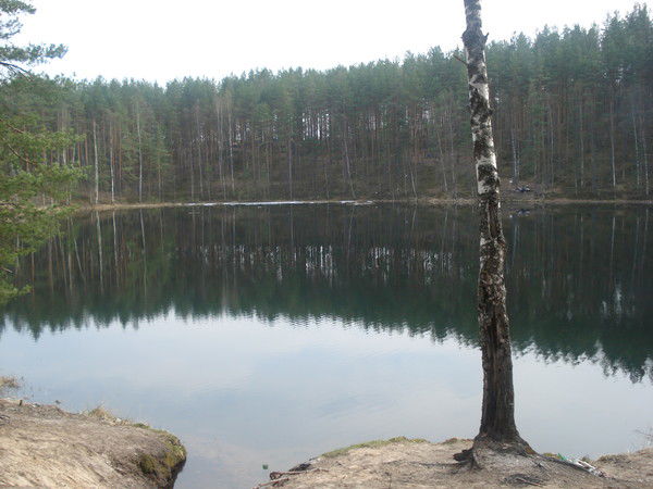 Серж Дульский