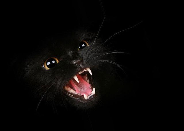 Нина Гриненко