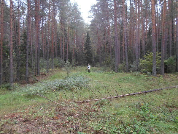 Виталий Панзин