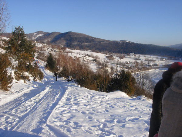 Ольга Шепелюк