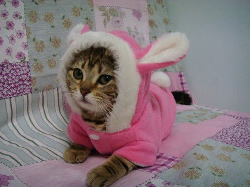 Екатерина Николаева