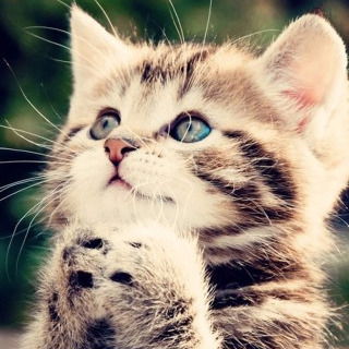 Наталия Краснова