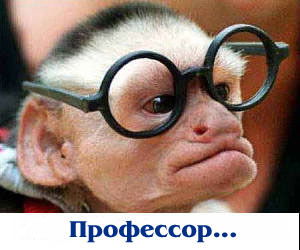 Андрей Ямщиков