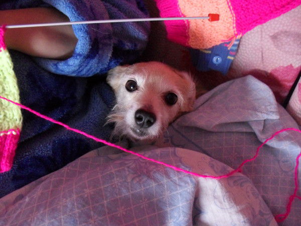 Светлана Чикмарева