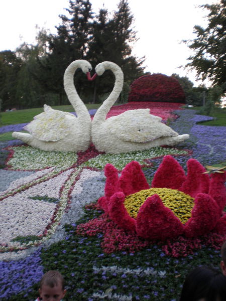 Катерина Шилова