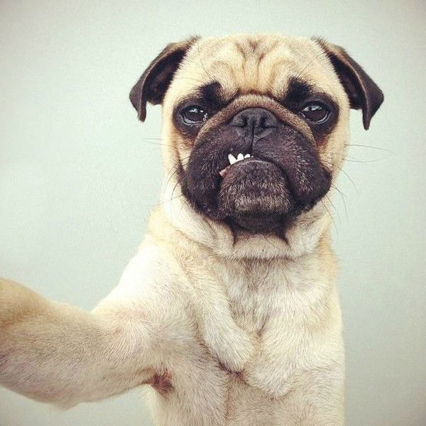 Виталий Кивачук